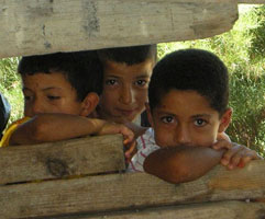 trois-garcons-tunisiens