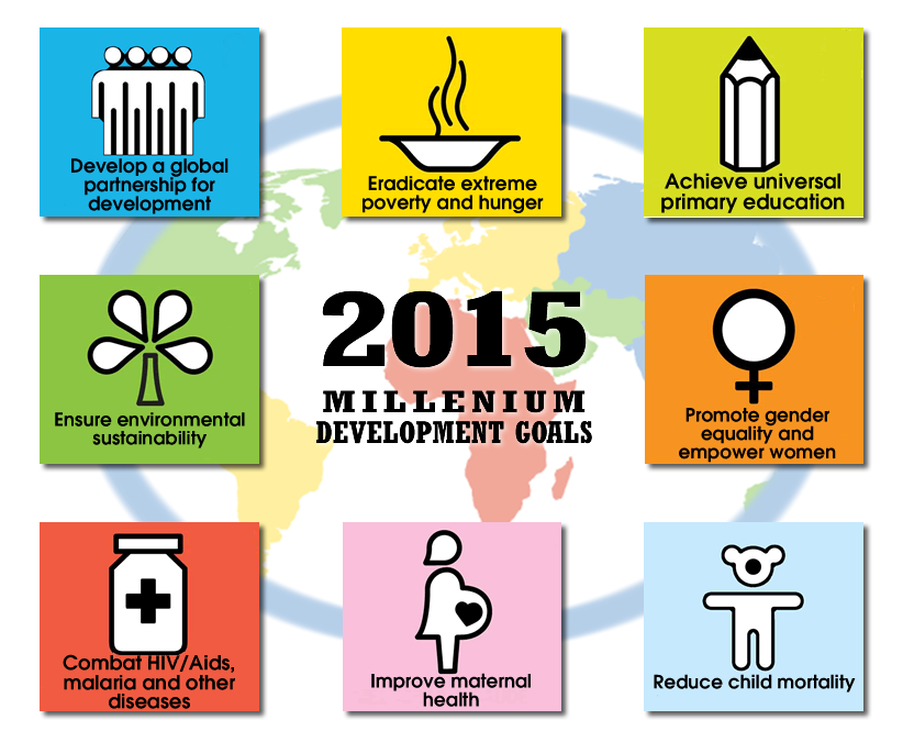 essay on millennium development goals