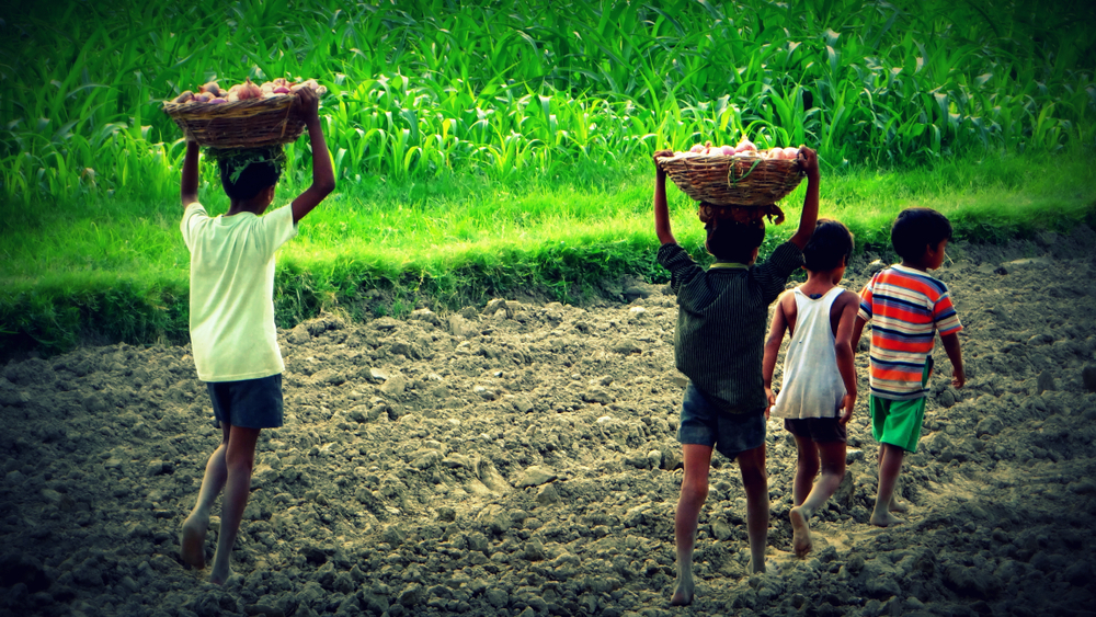 assignment on child labour in india