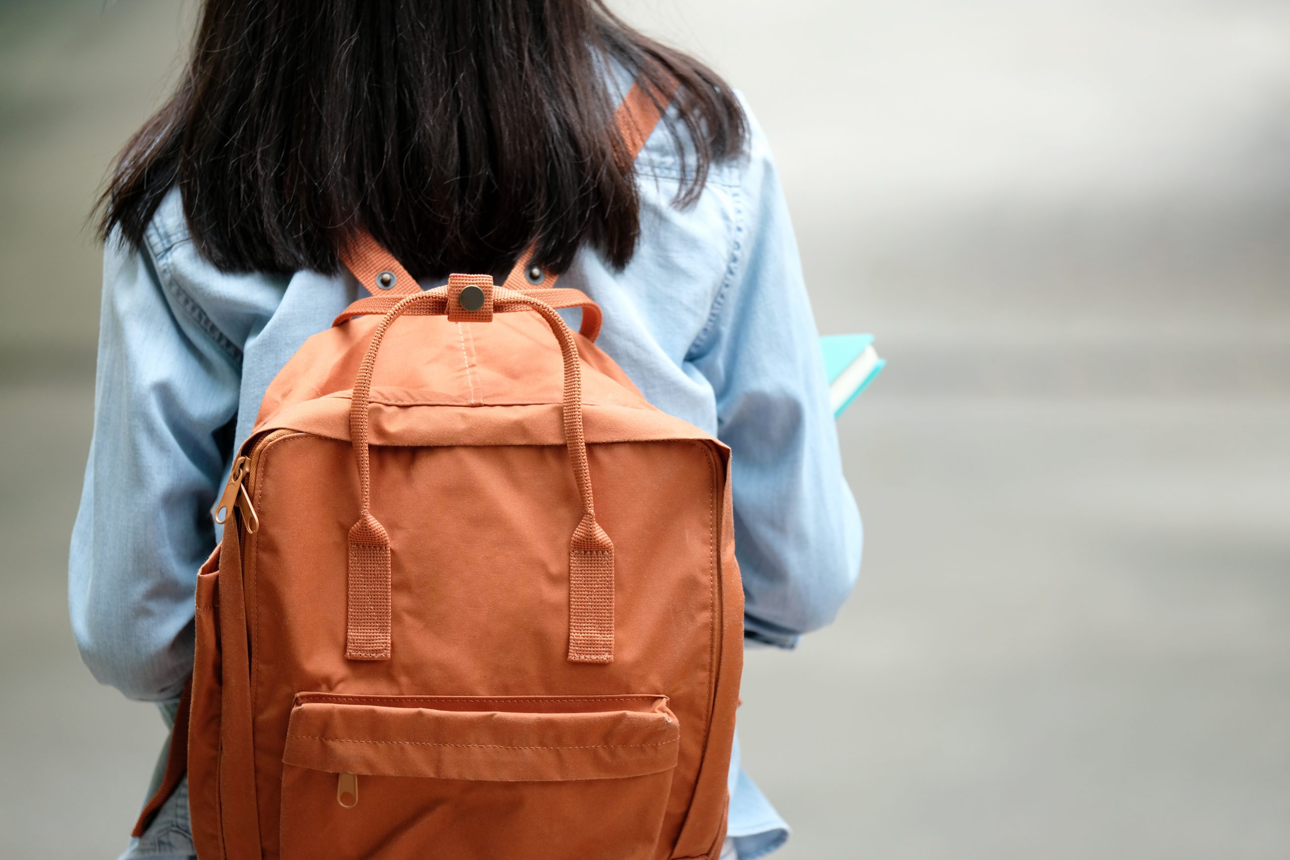 Ladies back hotsell side bag