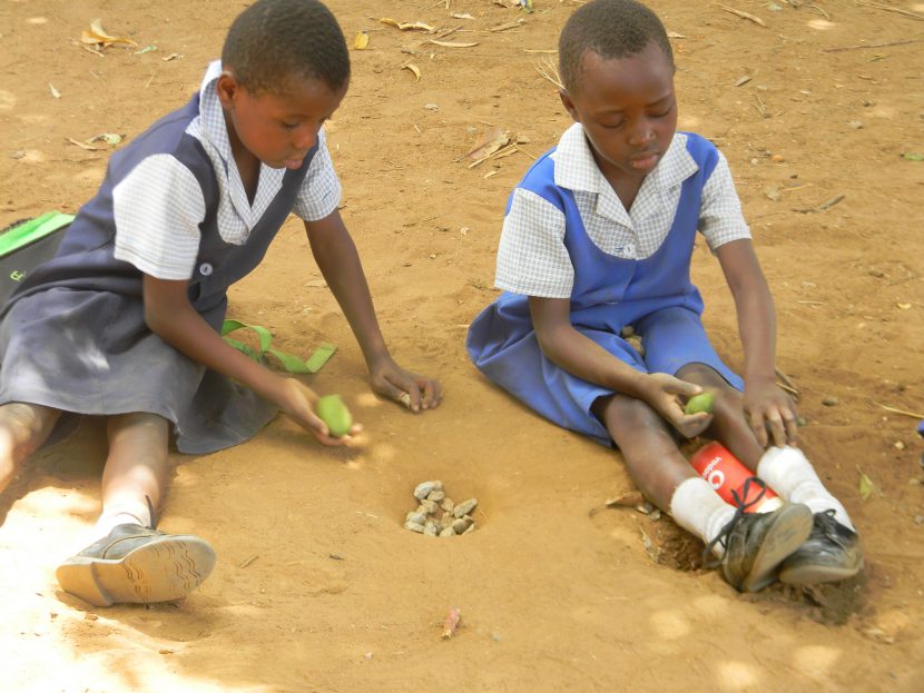 Children of Zimbabwe - Humanium
