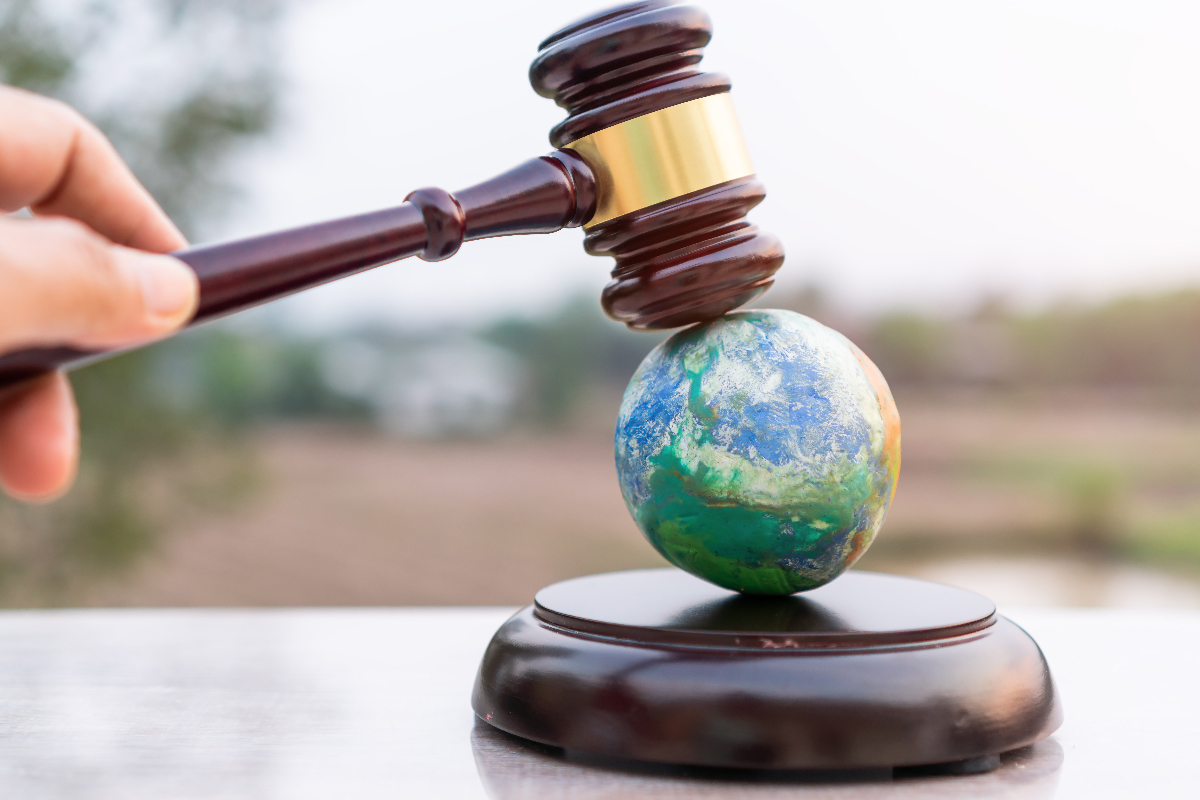 Funcionar delincuencia Glorioso Derechos medioambientales - Humanium