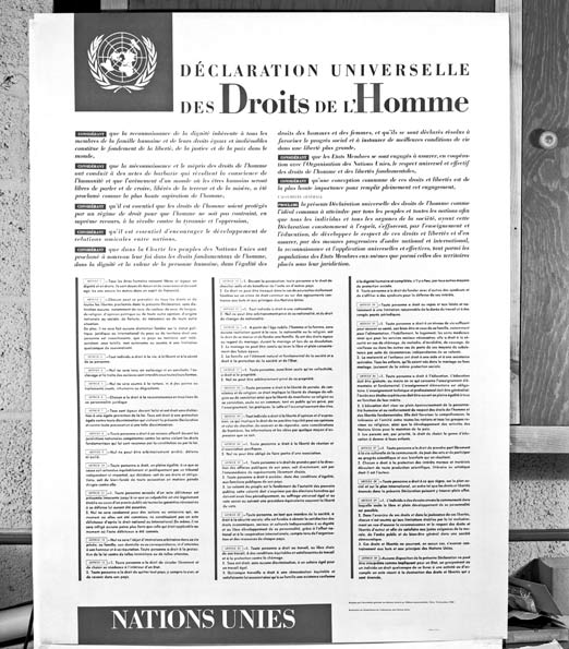 Declaración Universal de Derechos Humanos, 1948 - Humanium