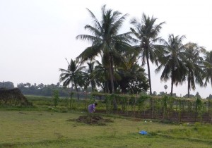 Inde 1